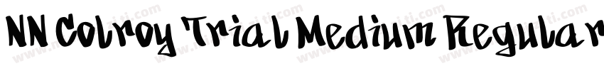 NN Colroy Trial Medium Regular字体转换